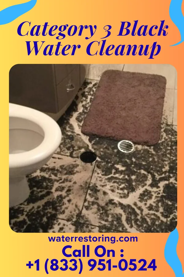 Category 3 Black Water Cleanup in Innsbrook, VA